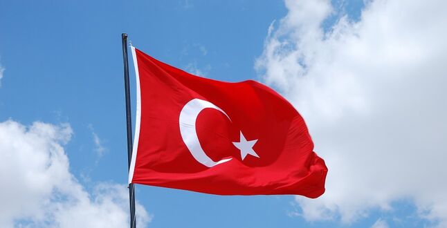 Турция вводит электронные анкеты для туристов