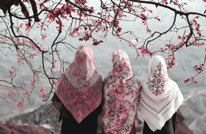 Австрия: угрозы женщинам за несоблюдение традиций ислама