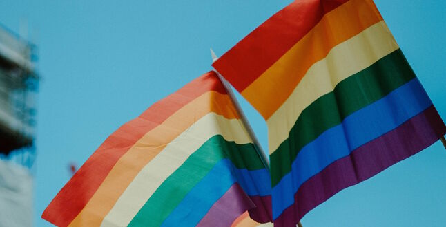 Европейский союз объявлен «зоной свободы ЛГБТИК»