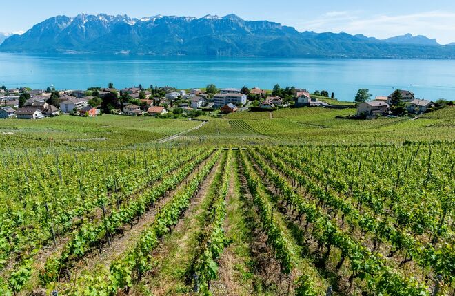 Запустились виртуальные путешествия по швейцарскому кантону Во