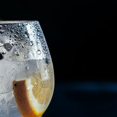 Джин: история напитка, коктейли и популярные бренды