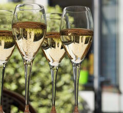 В интернете появился обучающий онлайн-курс по винам Шампани