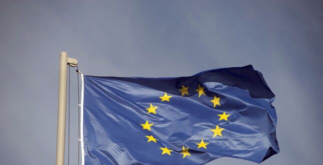 Экс-президент Эстонии предложил закрыть ЕС для россиян