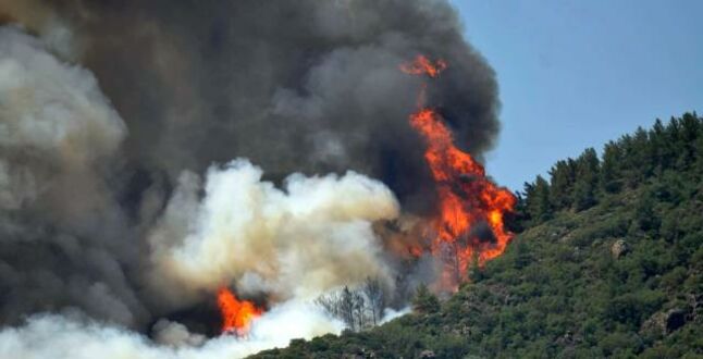 На известном турецком курорте эвакуируют отели из-за лесных пожаров