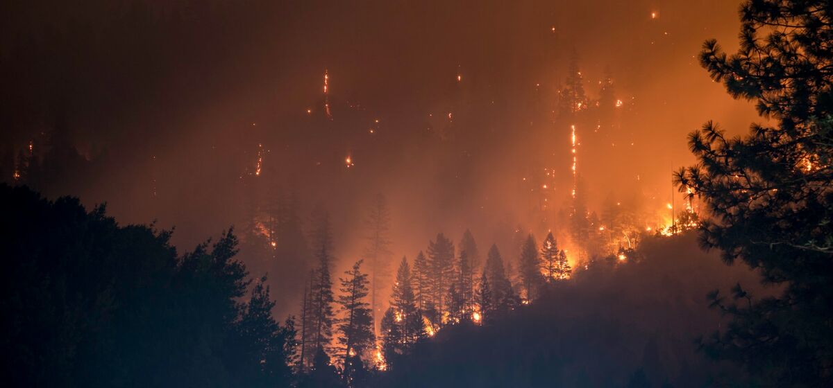 Пожары и другие новости выходных