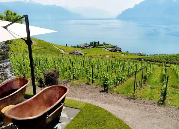 В Швейцарии открылся спа-салон на виноградниках
