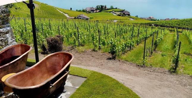 В Швейцарии открылся спа-салон на виноградниках