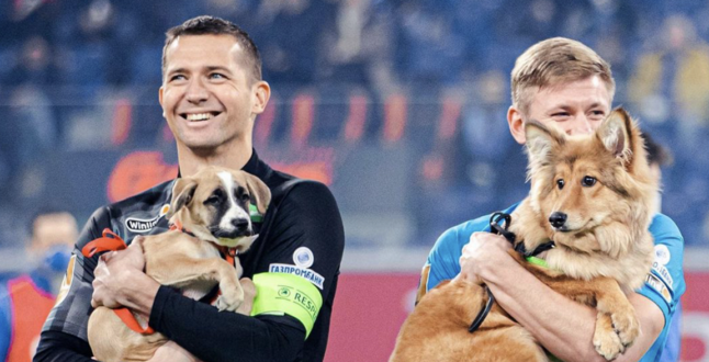 Футболисты «Зенита» вышли на поле с собаками из приютов