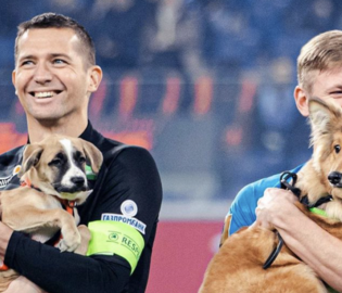 Футболисты «Зенита» вышли на поле с собаками из приютов