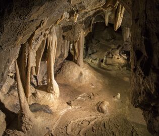Пещера Ящик Пандоры