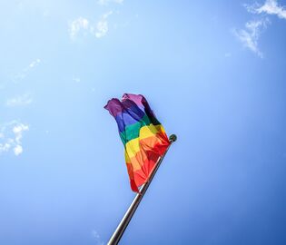 Во Франции запретили «лечить» гомосексуальность