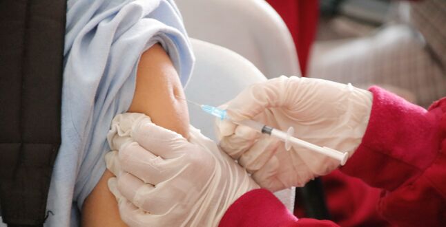 В Австрии вводят обязательную вакцинацию от коронавируса