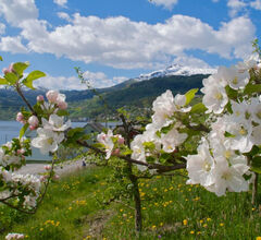 Что такое норвежское Springfulness