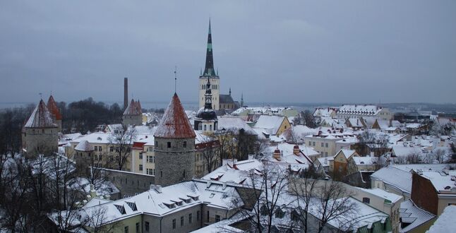 Эстония приостановила выдачу туристических виз гражданам России