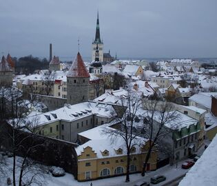 Эстония приостановила выдачу туристических виз гражданам России