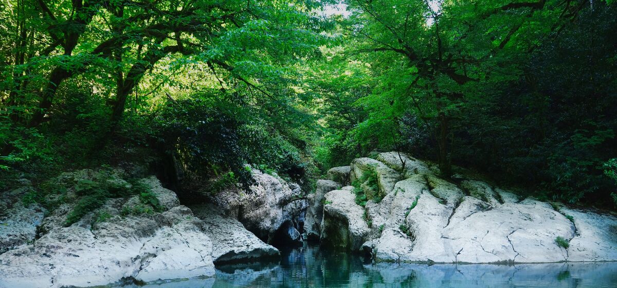 Навалищенское ущелье