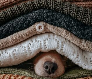 Британская энергетическая компания раздала клиентам одеяла из-за повышения цен на отопление