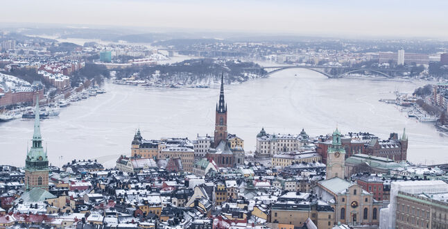 Дания и Швеция возобновили прием на туристические визы в России