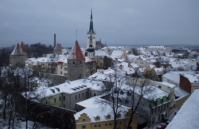 Премьер Эстонии призвала прекратить выдачу шенгенских виз россиянам