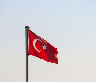 В Турции проходят митинги против отказа банков работать с картами «Мир»