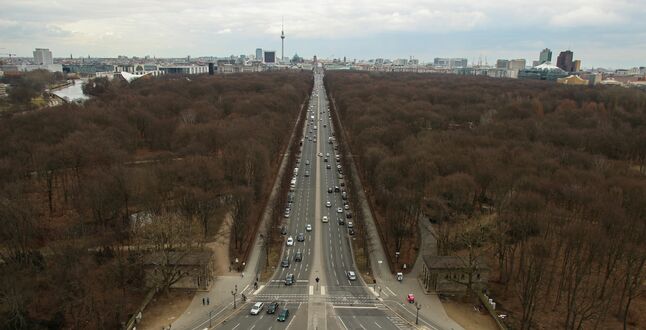 В берлинском парке Тиргартен вырубили деревья из-за нехватки топлива