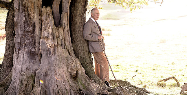 Карл III попросил парламент назначить принцессу Анну и принца Эдварда государственными советниками