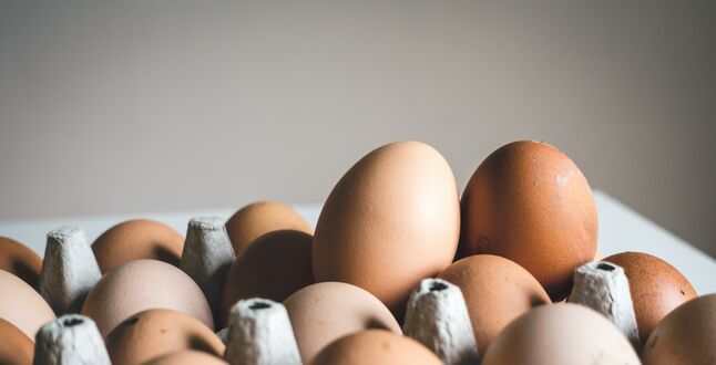 В Британии дефицит куриных яиц