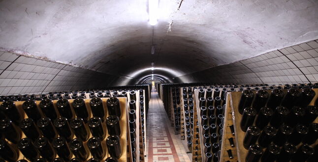 В России запустят винный тур на поезде