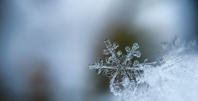 В аэропортах Москвы и Петербурга задержали десятки рейсов из-за снегопада