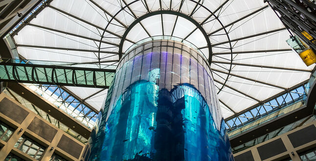 В отеле в центре Берлина лопнул гигантский аквариум