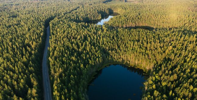 Российская виза станет доступнее для туристов из дружественных стран