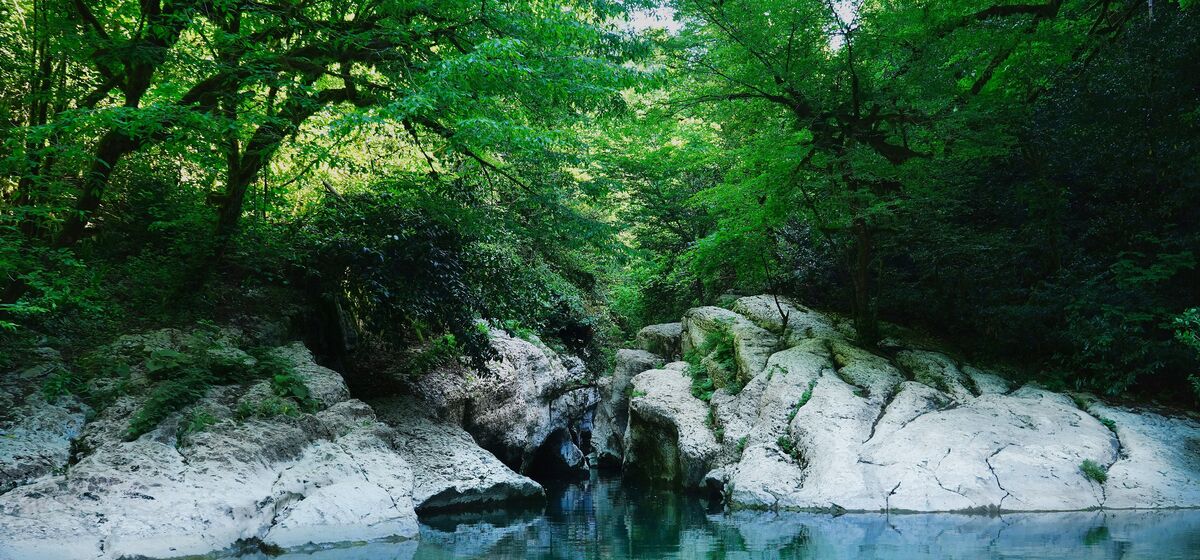 Каньон Белые Скалы