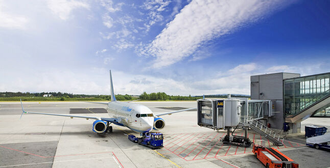 Суд признал незаконной норму провоза ручной клади у «Победы»