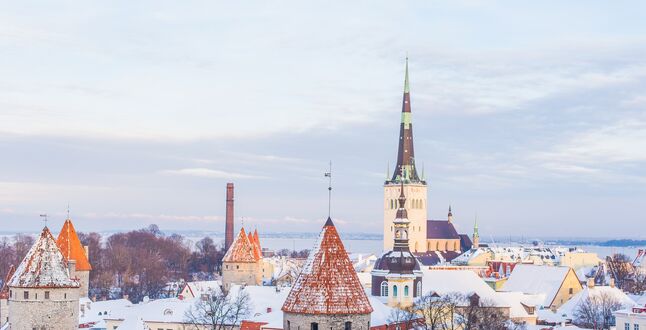 Посольство России в Эстонии прекратило прием заявлений о выходе из гражданства