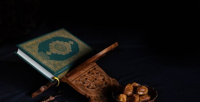 МИД Турции вызвал посла Нидерландов после сожжения Корана в Гааге