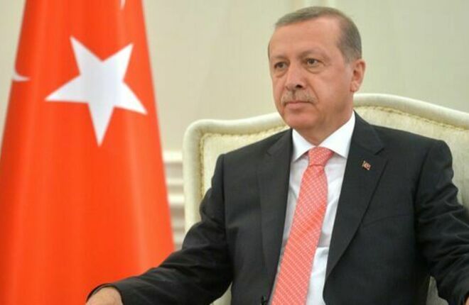 Эрдоган усомнился в квалификации Макрона и назвал его нечестным политиком