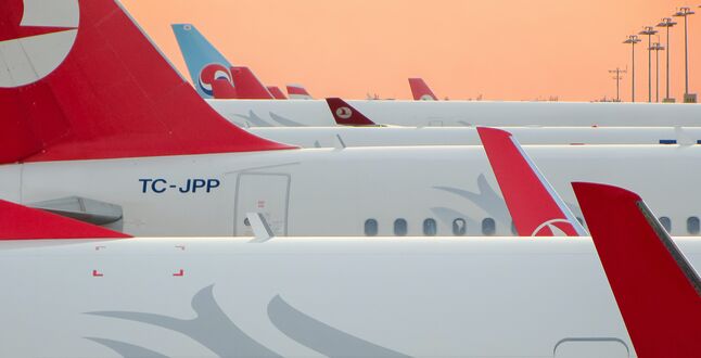 Самолет Turkish Airlines развернулся из-за запаха дуриана