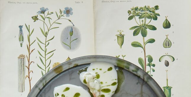 В Москве пройдут первые гастроли шеф-повара питерского ресторана EM