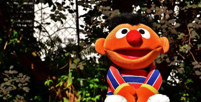 В немецкой версии «Улицы Сезам» появится персонаж на инвалидной коляске