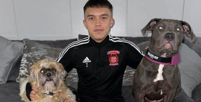 В Британии подросток спас собак из горящего дома