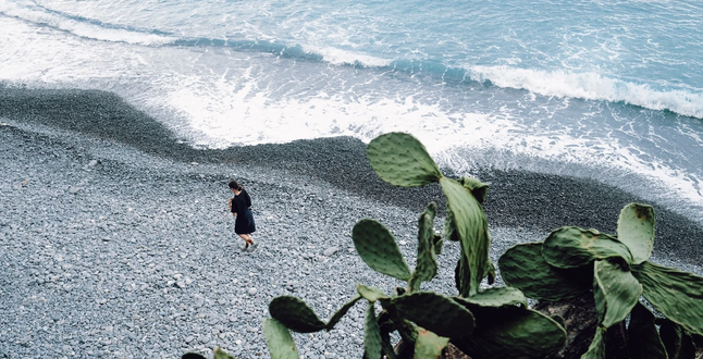 В Парке Горького откроется выставка о связи человека и природы