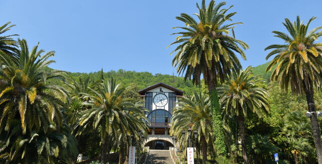 В Абхазии стартовали перевозки по «единому» билету