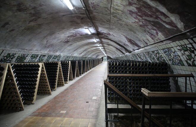 Три винодельни в России приняты во всемирную организацию винного туризма