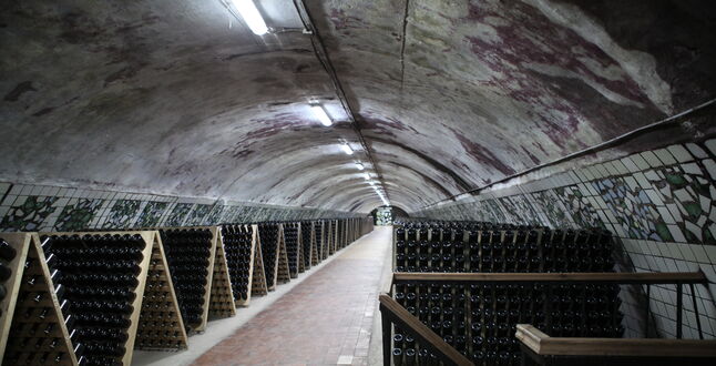 Три винодельни в России приняты во всемирную организацию винного туризма