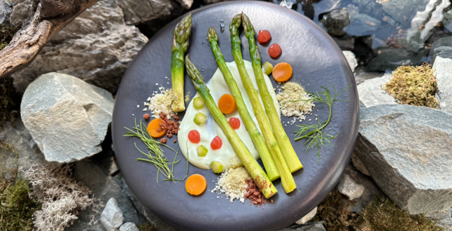 Нейросеть создала гастрономический сет для ресторана северной кухни в Москве