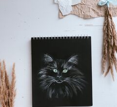 В Петербурге открылась выставка «Портрет эрмитажного кота»