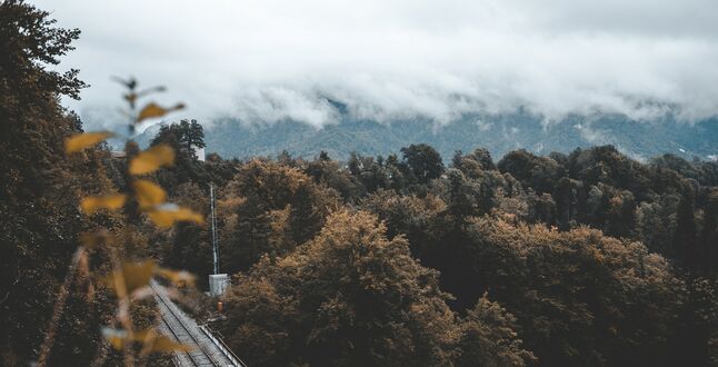 В Словении появится единый проездной на междугородний транспорт