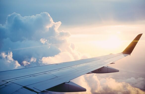 Ассоциация воздушного транспорта назвала самые частые нарушения авиапассажиров