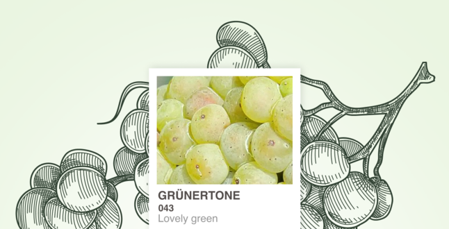 В Москве пройдет фестиваль самого известного австрийского сорта винограда