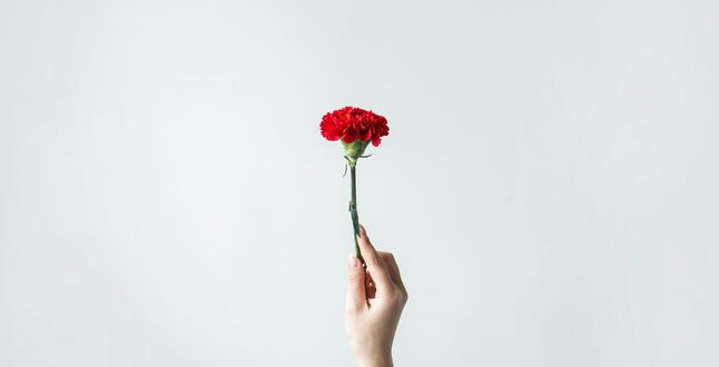 В Латвии начали рассылать штрафы за поздравления с Днем Победы